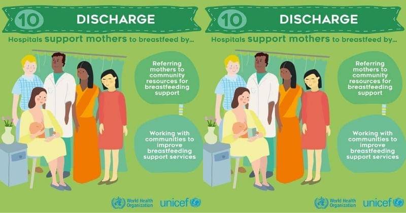 Dok. Nutrition and Food Safety